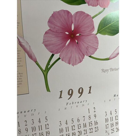 Vintage 1991 Rosy Periwinkle Pharmacy History Pharmacist Poster Afrin Promo - Picture 7 of 12